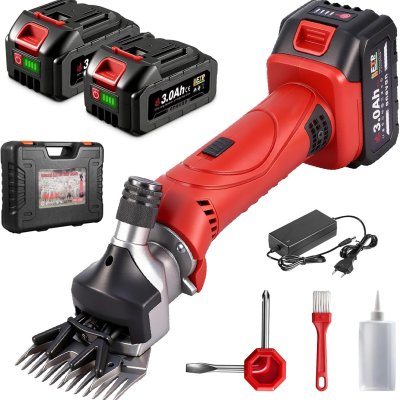 dendeuse rechargable