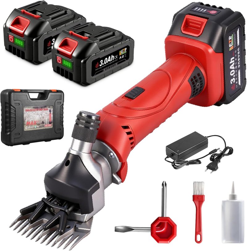 dendeuse rechargable