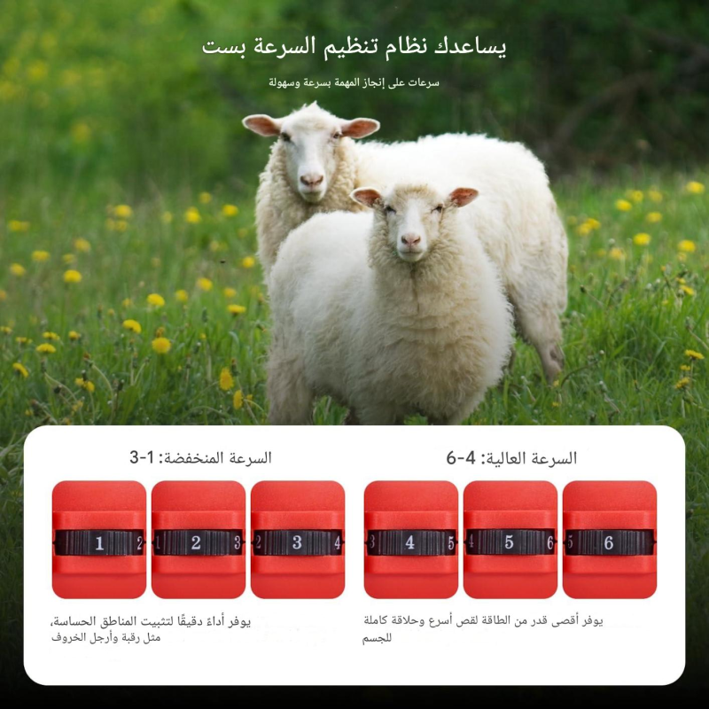 dendeuse rechargable